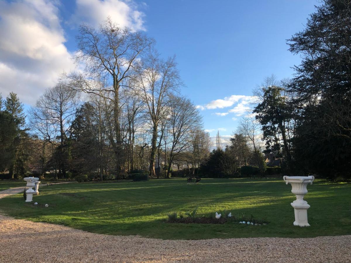 La Maison Au Cedre Marsac-sur-l'Isle Экстерьер фото